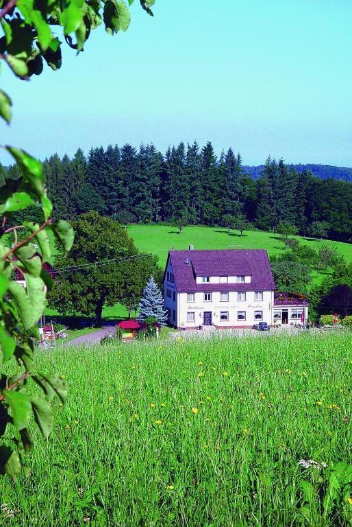 Gasthaus Und Pension Hintere Hofe Freiamt Εξωτερικό φωτογραφία